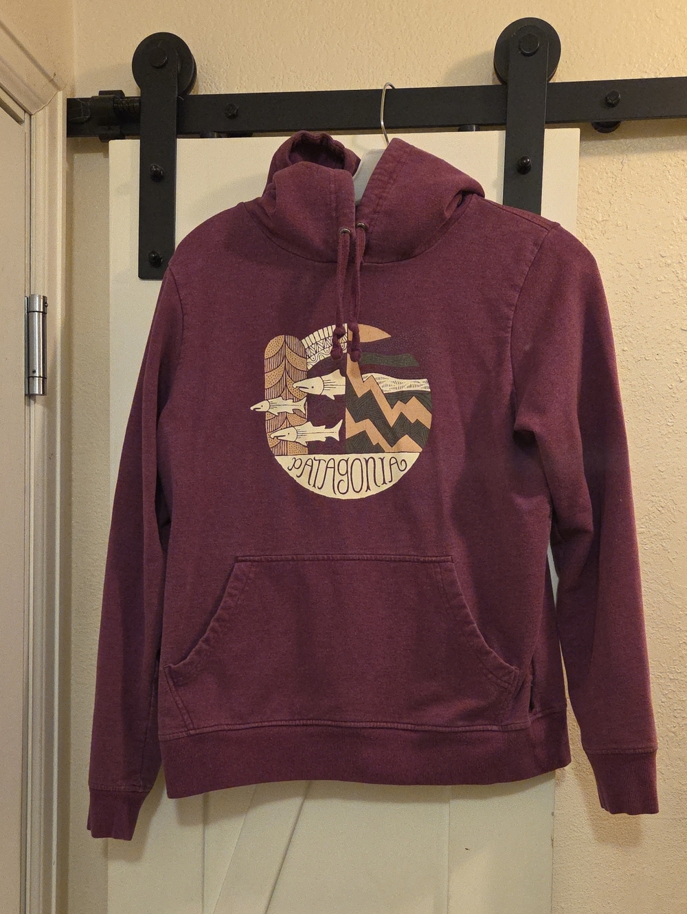 Patagonia Plum Pullover Hoodie with Graphic Logo